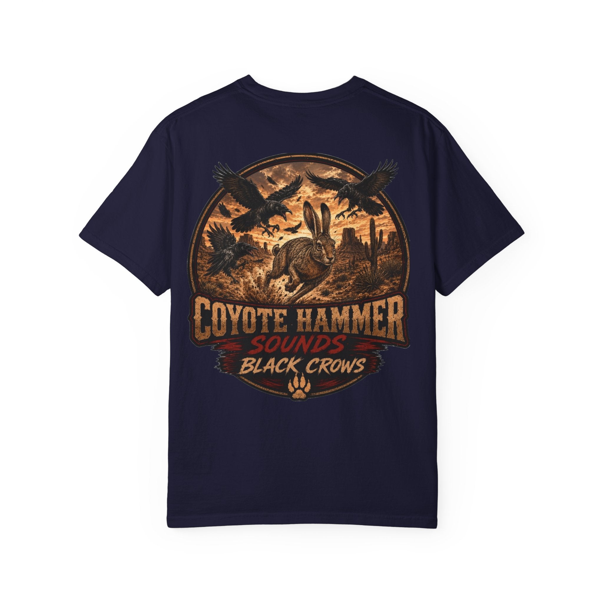 'Black Crows' Graphic T-Shirt — Vintage Desert Band Tee