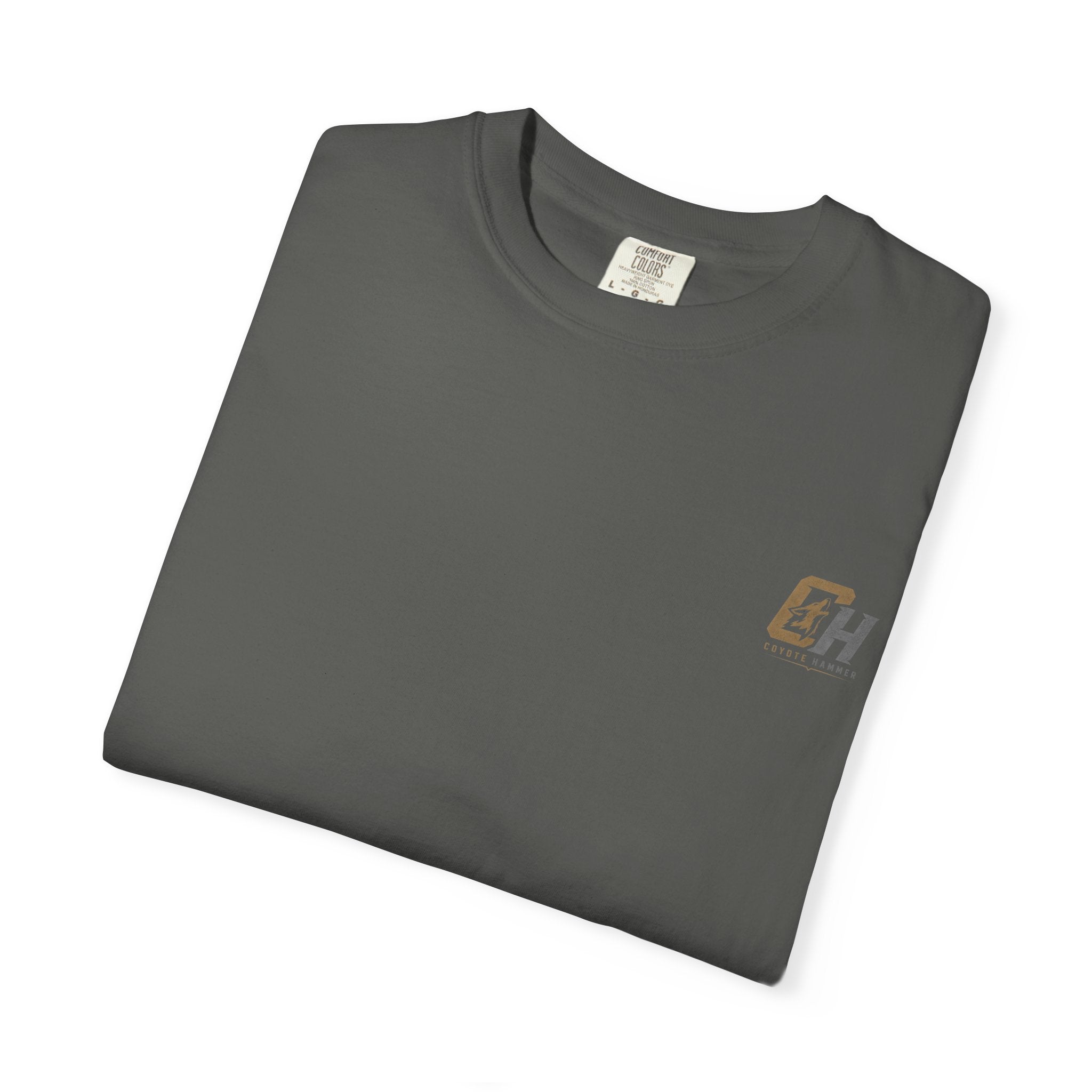'Black Crows' Graphic T-Shirt — Vintage Desert Band Tee