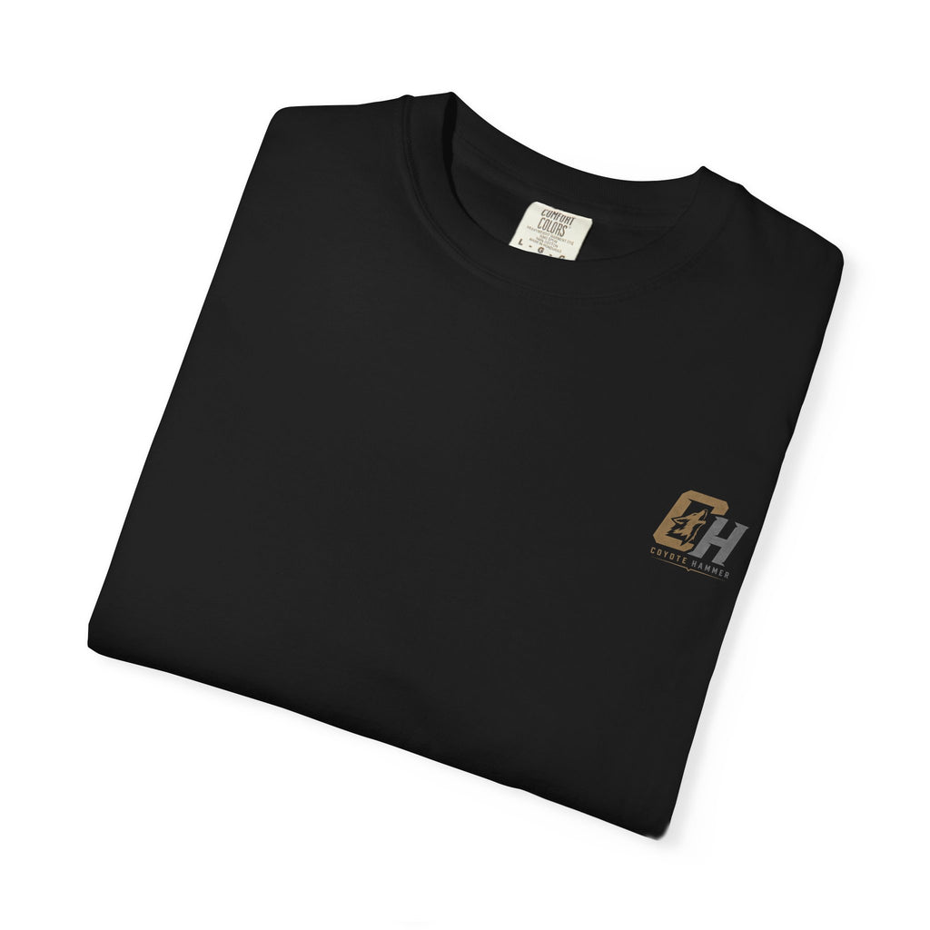 'Black Crows' Graphic T-Shirt — Vintage Desert Band Tee