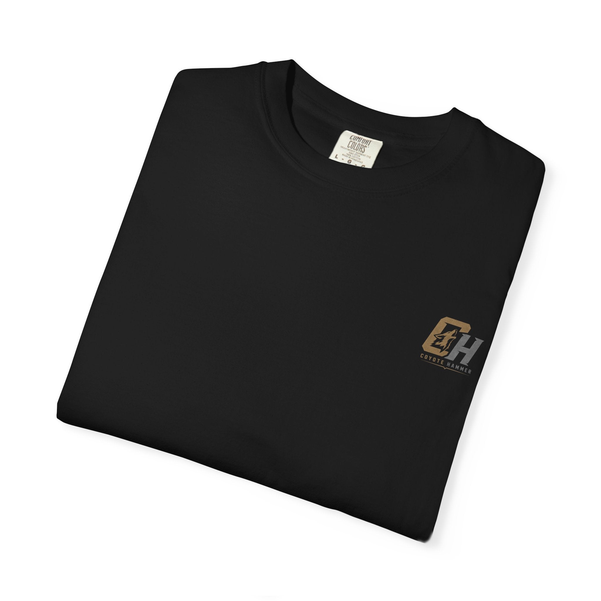 'Black Crows' Graphic T-Shirt — Vintage Desert Band Tee