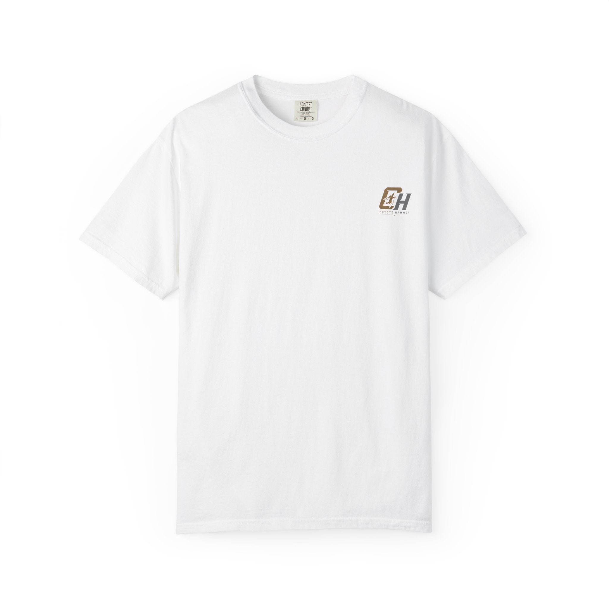 'Black Crows' Graphic T-Shirt — Vintage Desert Band Tee